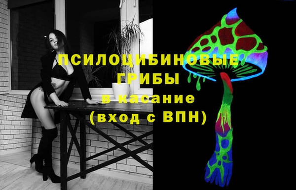 гидропоника Богородск